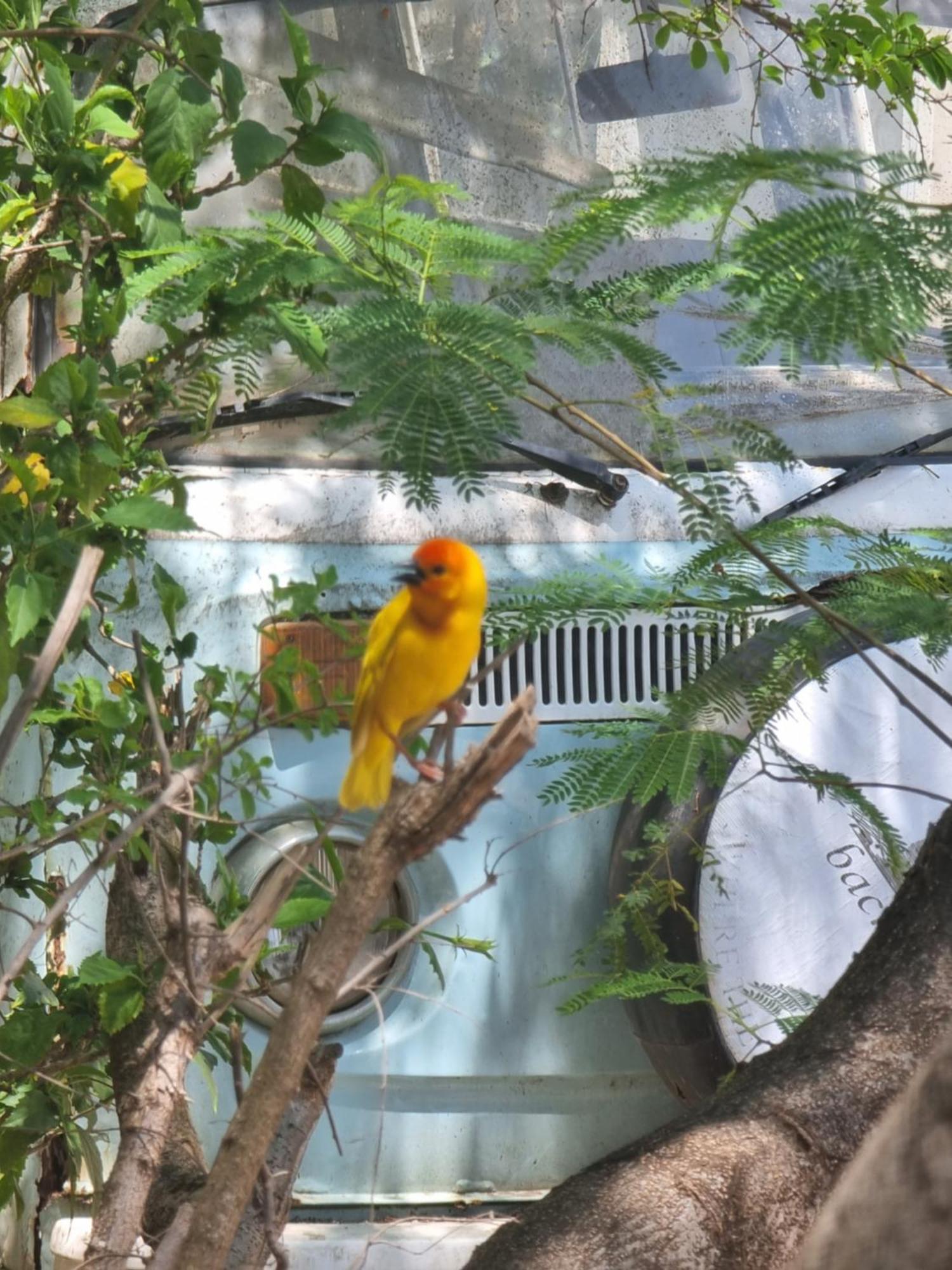Hostel Tulia House Backpackers Mombasa Zewnętrze zdjęcie