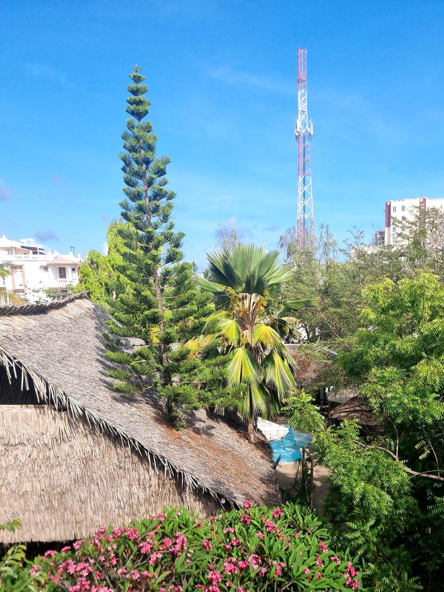 Hostel Tulia House Backpackers Mombasa Zewnętrze zdjęcie